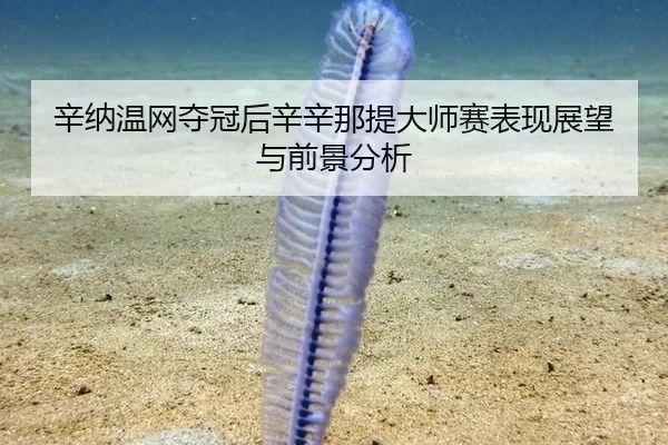 辛纳温网夺冠后辛辛那提大师赛表现展望与前景分析