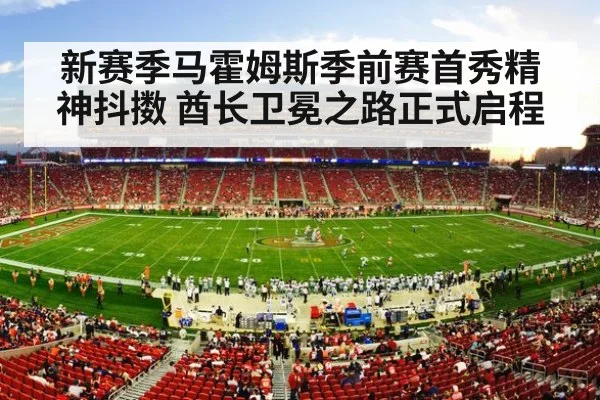 NFL football stadium