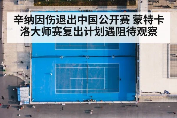 辛纳因伤退出中国公开赛 蒙特卡洛大师赛复出计划遇阻待观察