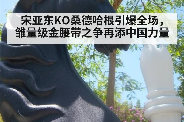 宋亚东KO桑德哈根引爆全场，雏量级金腰带之争再添中国力量