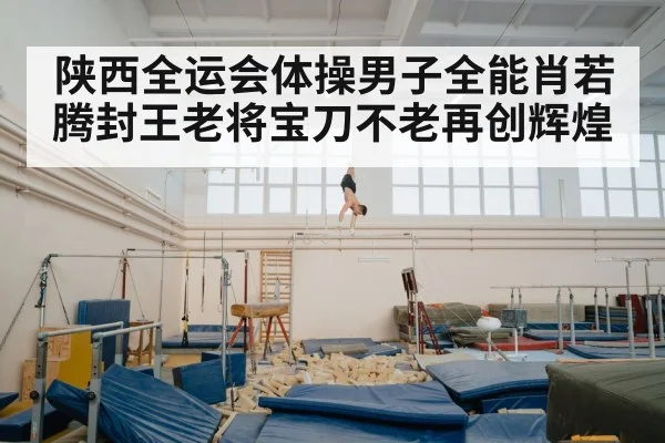 陕西全运会体操男子全能肖若腾封王老将宝刀不老再创辉煌